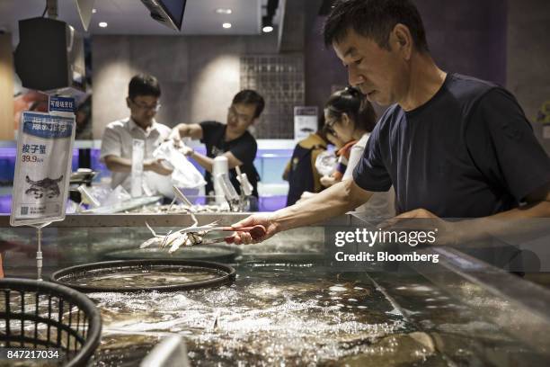 Customers select live seafood at an Alibaba Group Holding Ltd. Hema Store in Shanghai, China, on Tuesday, Sept. 12, 2017. Hema stores are one-stop...