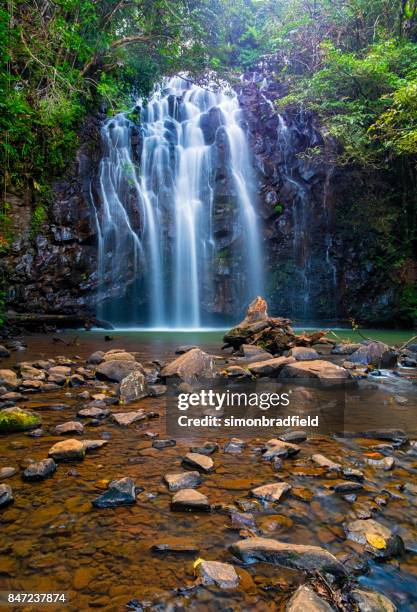 ellinjaa falls, atherton tablelands, queensland, australie - chutes millaa millaa photos et images de collection