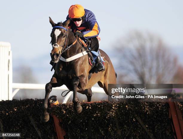 Jason Maguire ridden by Star in Flight win the Watt Fences Novices Hurdle at Catterick Racecourse.