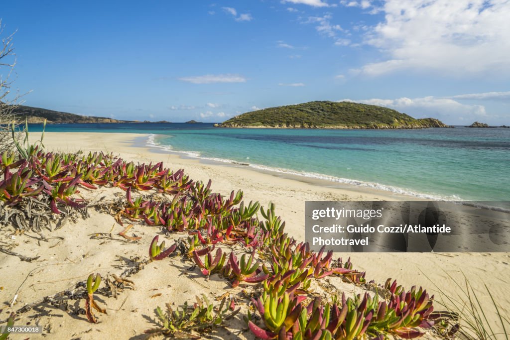 Tuerredda beach, near capo Malfatano
