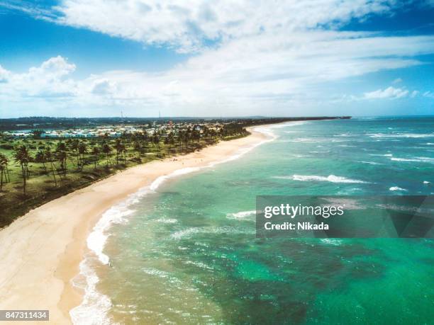 vista aérea de uma praia paradisíaca no brasil - ilha - fotografias e filmes do acervo
