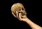 Holding human skull in hand. Conceptual image.( Shakespeare's Hamlet scene concept )