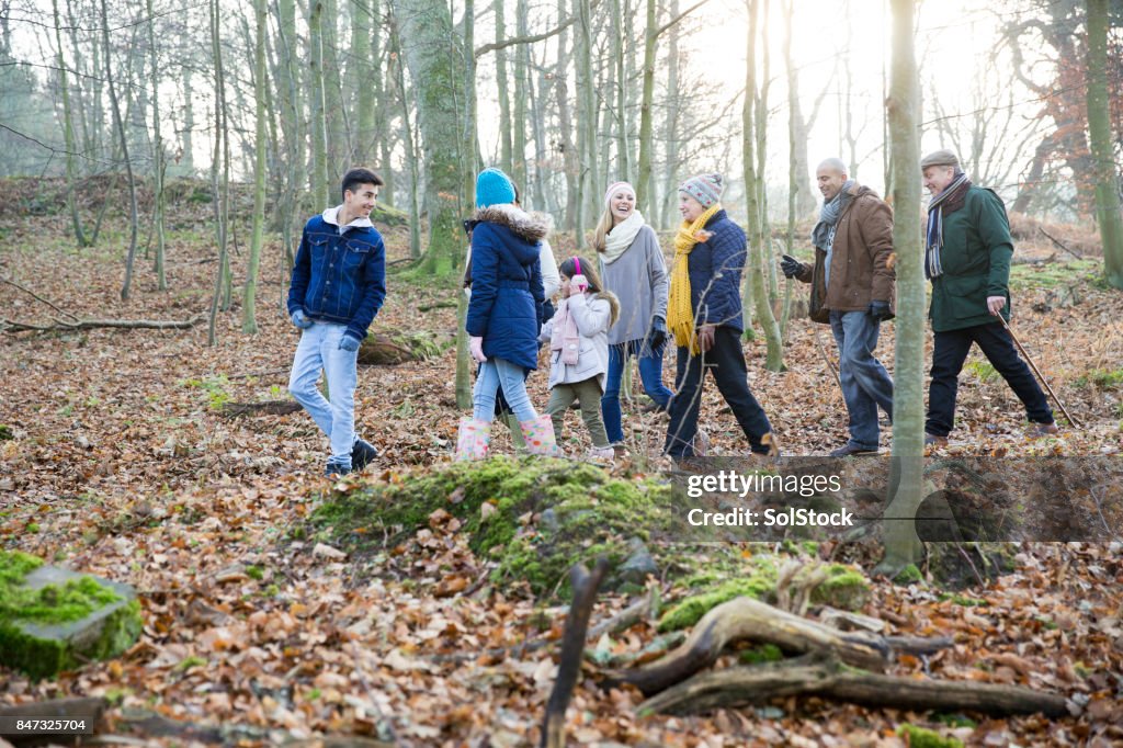 Family Christmas Walk