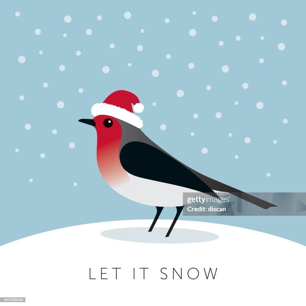 Weihnachtskarten mit Robin Vogel