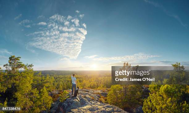 dog and owner looking out at landscape - sweden forest stock pictures, royalty-free photos & images