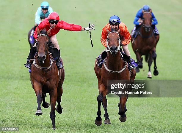 Judith Innes Riding Stable 187 Leith Innes Stock Photos, High-Res Pictures, and Images - Getty Images