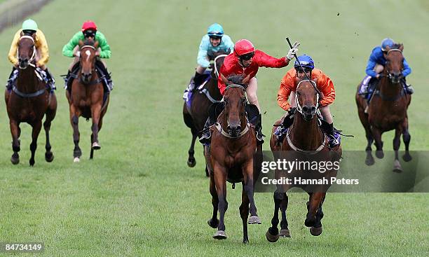 Judith Innes Riding Stable 187 Leith Innes Stock Photos, High-Res Pictures, and Images - Getty Images