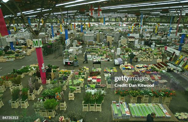 General view of New Covent Garden Flower Market on February 11, 2009 in London, England. New Covent Garden Flower Market is London's premier...