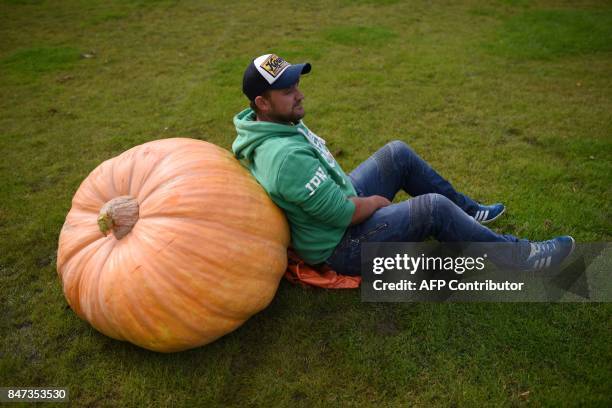 Richard Mann rests next to his 310.7 kg pumpkin which won its class in the giant vegetable competition on the first day of the Harrogate Autumn...