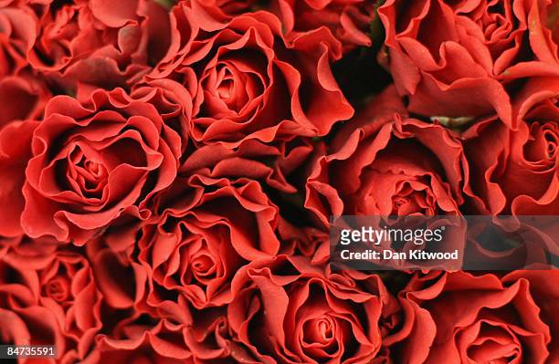 Red roses are displayed on a flower stall in New Covent Garden Flower Market on February 11, 2009 in London, England. New Covent Garden Flower Market...