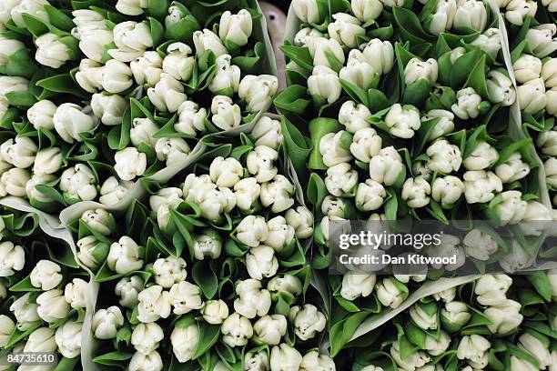 Flowers are displayed on a stall in New Covent Garden Flower Market on February 11, 2009 in London, England. New Covent Garden Flower Market is...