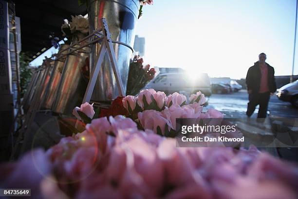 Roses are displayed on a flower stall at New Covent Garden Flower Market on February 11, 2009 at London, England. New Covent Garden Flower Market is...