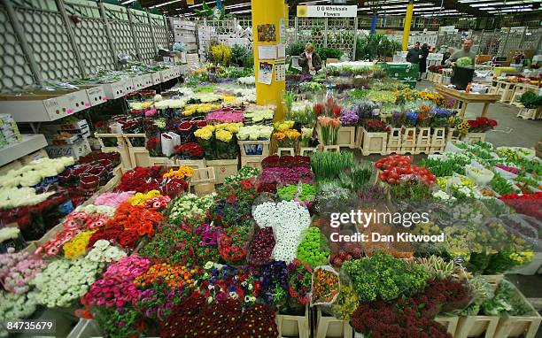 General view of flower stalls in New Covent Garden Flower Market on February 11, 2009 in London, England. New Covent Garden Flower Market is London's...