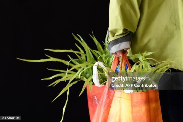 Woman carries a bag containing plants on the first day of the Harrogate Autumn Flower Show held at the Great Yorkshire Showground, in Harrogate,...