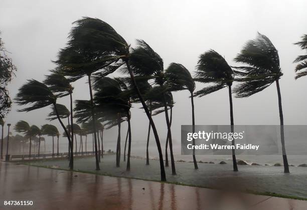 hurricane irma extreme image of storm striking miami, florida - lluvia torrencial fotografías e imágenes de stock