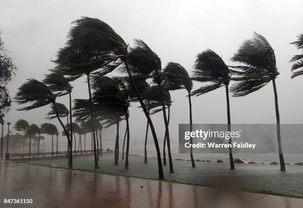 hurricane irma extreme image of storm striking miami, florida - pluie diluvienne photos et images de collection