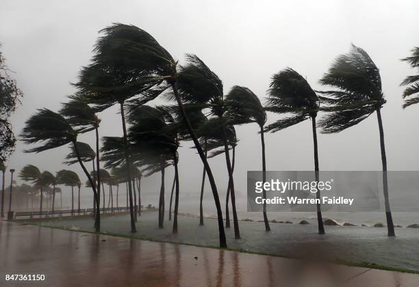hurricane irma extreme image of storm striking miami, florida - torrential rain stockfoto's en -beelden