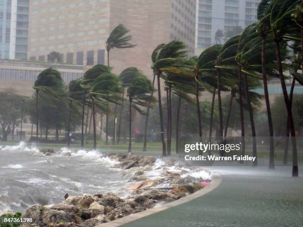 hurricane irma extreme image of storm striking miami, florida - hurrican irma photos et images de collection