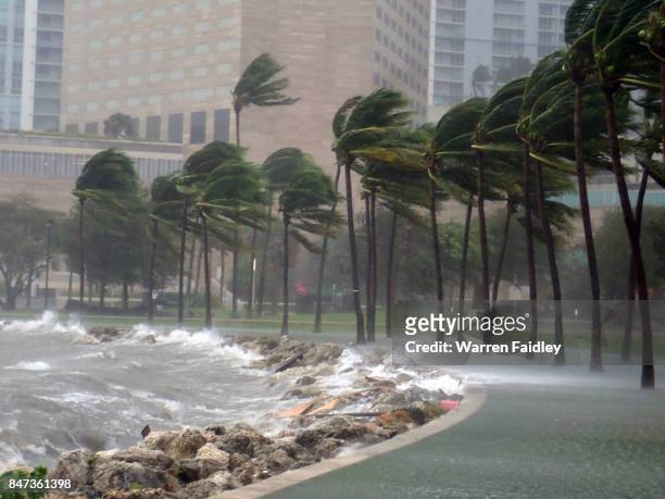hurricane irma extreme image of storm striking miami, florida - hurricaine stock pictures, royalty-free photos & images