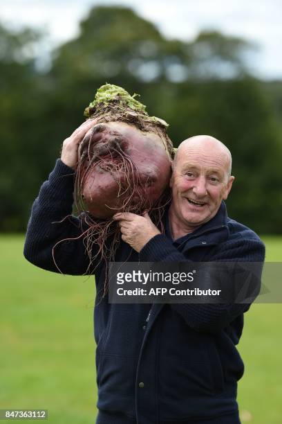 Joe Atherton poses for a photograph with his 16.8 kg beetroot which won its class in the giant vegetable competition on the first day of the...