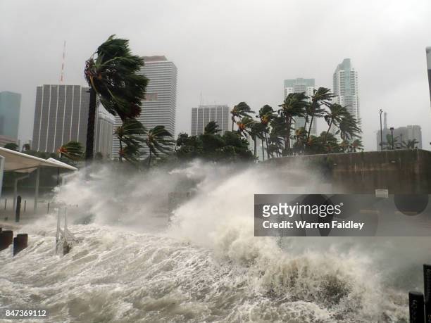 hurricane irma extreme image of storm striking miami, florida - florida us state foto e immagini stock