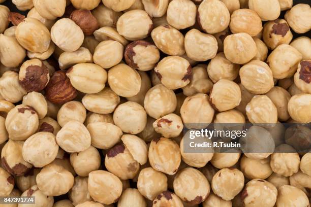 closeup view of hazelnuts nuts - ヘーゼルナッツ ストックフォトと画像