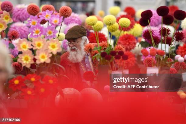 Visitors view the dahlia flowers on display on the first day of the Harrogate Autumn Flower Show held at the Great Yorkshire Showground, in...