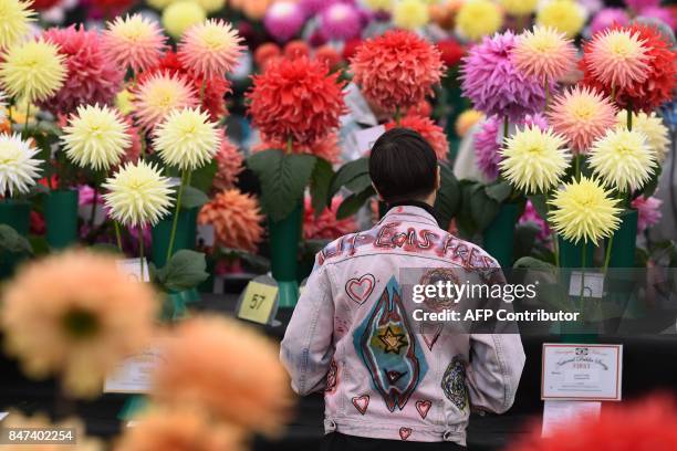 Visitors view the dahlia flowers on display on the first day of the Harrogate Autumn Flower Show held at the Great Yorkshire Showground, in...