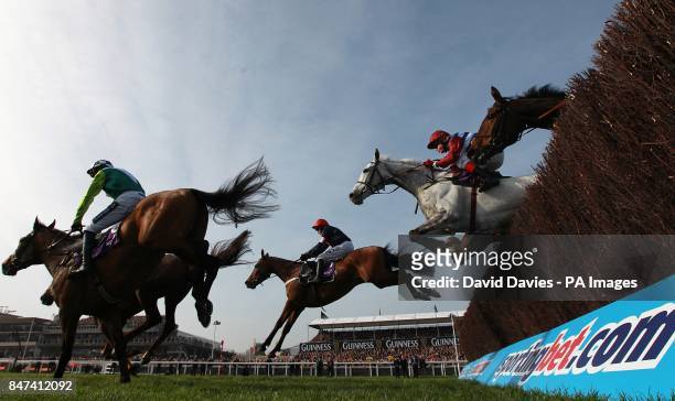 Bobs Worth ridden by Barry Geraghty clears a fence on the way to winning the RSA Chase on Ladies Day, during the Cheltenham Festival.