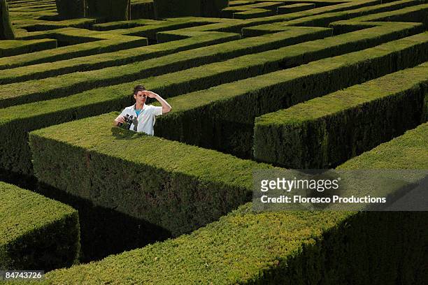 young man lost in hedge maze - searching stock-fotos und bilder