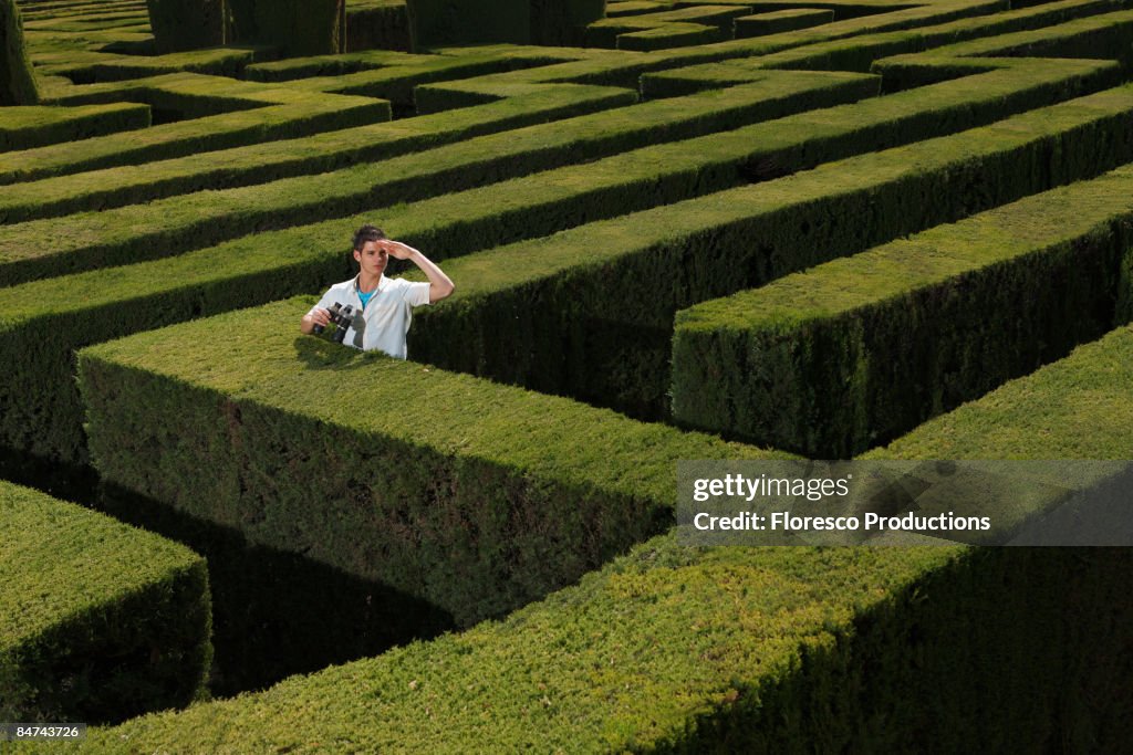 Young man lost in hedge maze