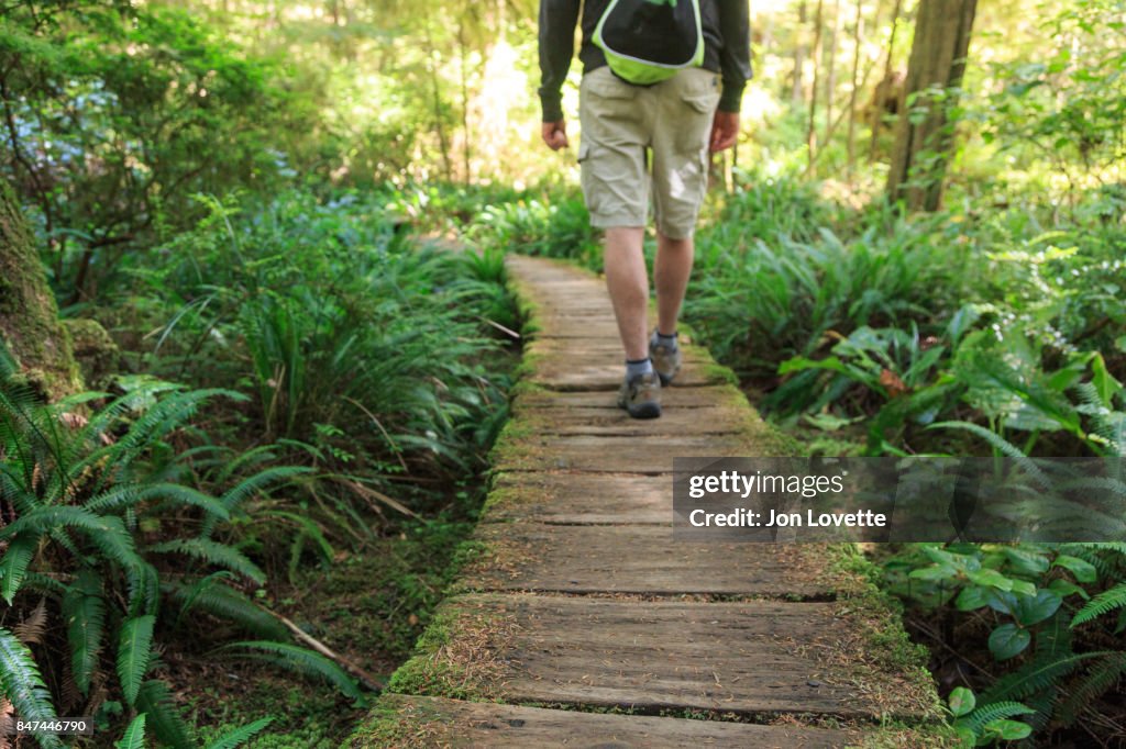 Hiker on Boardwalk