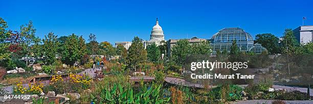 washington, dc - us botanic garden stock pictures, royalty-free photos & images