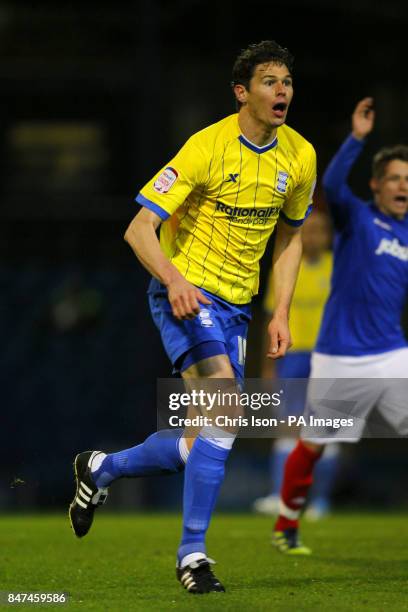 Nikola Zigic, Birmingham City