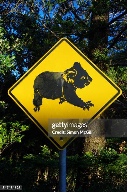 koala crossing warning road sign, flynns beach, port macquarie, new south wales, australia - port macquarie stock pictures, royalty-free photos & images