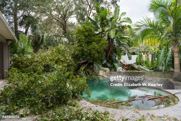 natural disaster aftermath - hurrican irma photos et images de collection