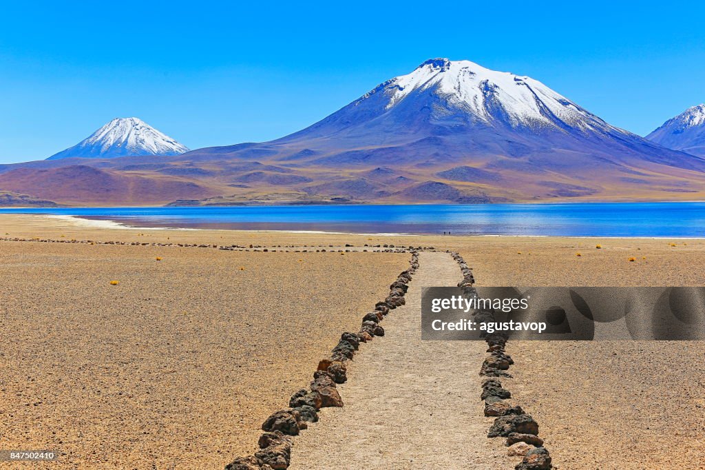 湖 Miñiques と Miscanti - 湖と山脈の火山 - ターコイズ ブルーの湖と牧歌的なアタカマ砂漠、火山の風景パノラマ-サン ペドロ デ アタカマ、チリ、Bolívia、アルゼンチン国境にトレッキング トレ