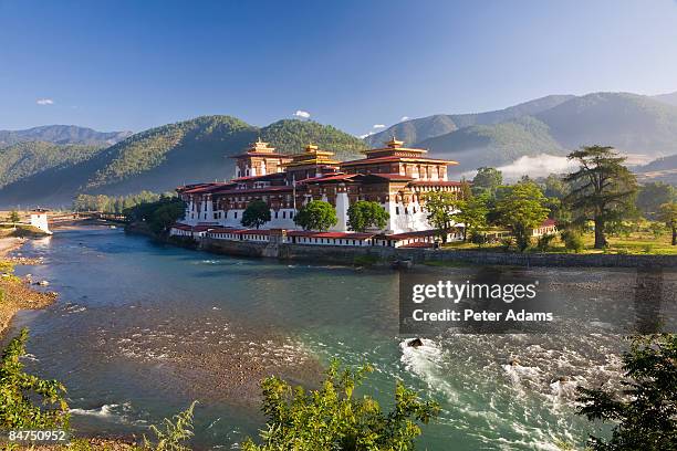 punakha dzong, bhutan - bhutan stock pictures, royalty-free photos & images