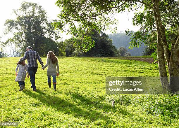 family walking up a grassy hill together  - family greenery bildbanksfoton och bilder