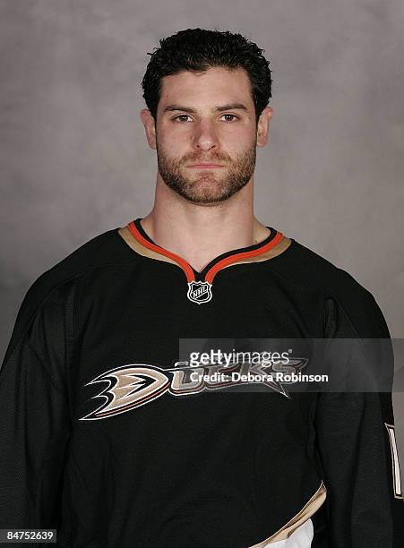 Mike Brown of the Anaheim Ducks on February 11, 2009 at Honda Center in Anaheim, California.