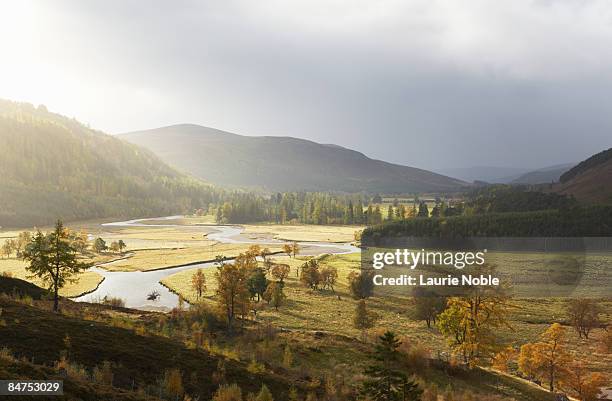 patch of sunlight hitting the river dee - aberdeenshire bildbanksfoton och bilder