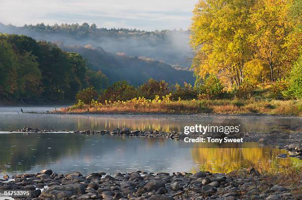 morning light - delaware water gap stock pictures, royalty-free photos & images
