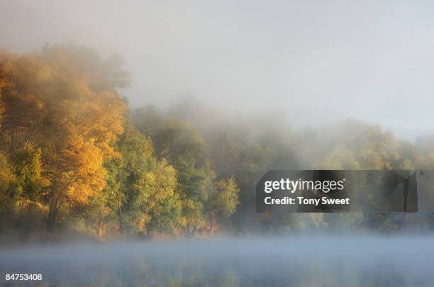 misty dawn - delaware water gap stock pictures, royalty-free photos & images