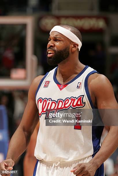 Baron Davis of the Los Angeles Clippers reacts after making a three-pointer late in the fourth quarter of a game against the New York Knicks at...