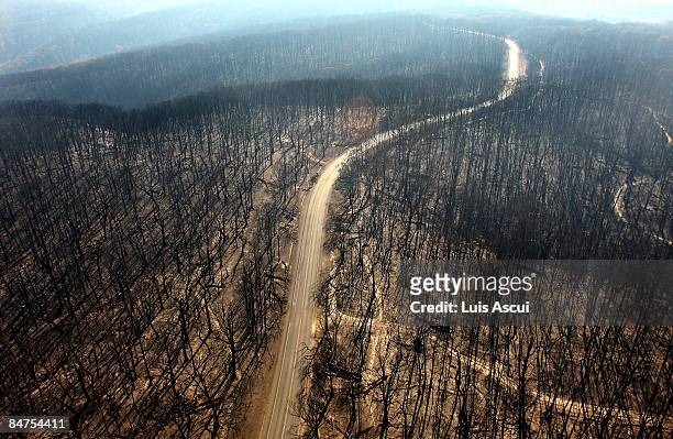Dirt track runs through the burnt out forest in the Kinglake region on February 12, 2009 in Melbourne, Australia. Victoria Police have revised the...