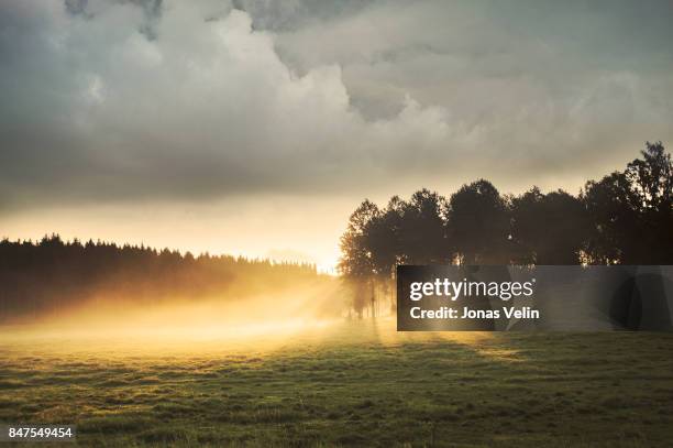 soluppgång över fält - sweden nature bildbanksfoton och bilder