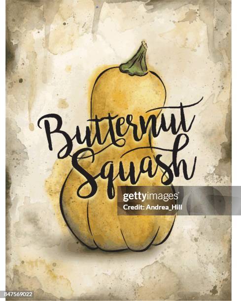 butternut squash painted in watercolor on rustic brown background. vector eps10 - butternut squash stock illustrations