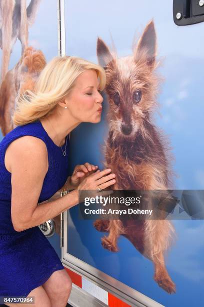 Barbara Niven attends the American Humane unveiling of the California Rescue Truck at The Beverly Hilton Hotel on September 15, 2017 in Beverly...