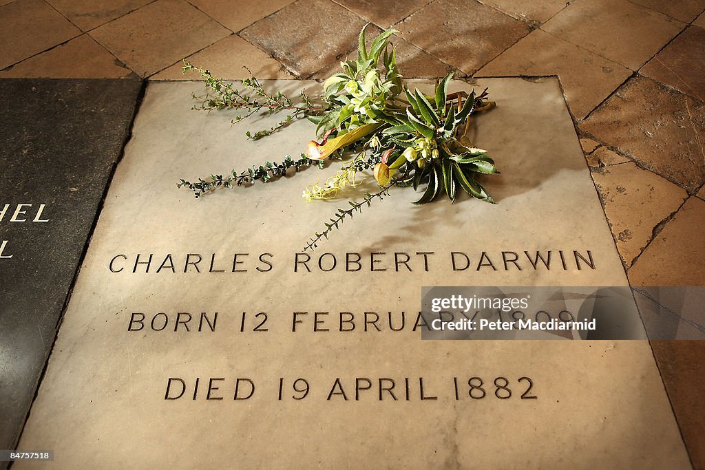 A Wreath From Down House is Placed On The Grave Of Charles Darwin