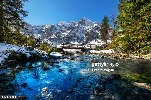 rybi bach aus dem see morskie oko, tatra-gebirge - polen stock-fotos und bilder